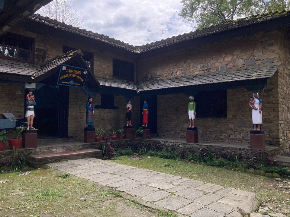 Nepal - Pokhara - Annapurna Natural History Museum