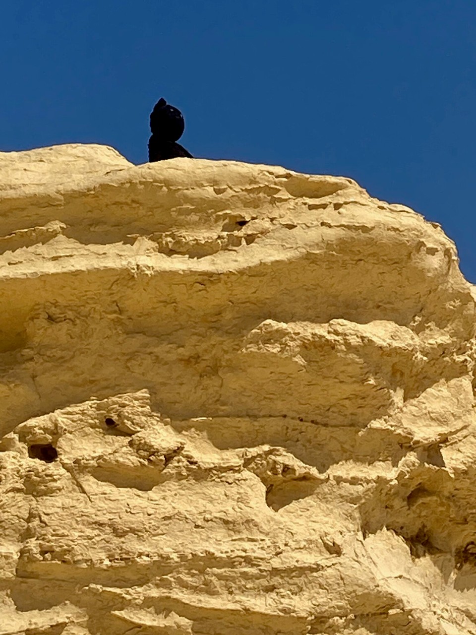 Egypt - Cairo - Ommmmm....