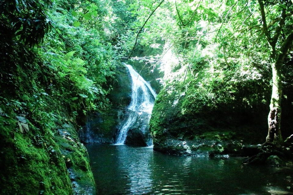 Cookinseln -  - Start am Wasserfall