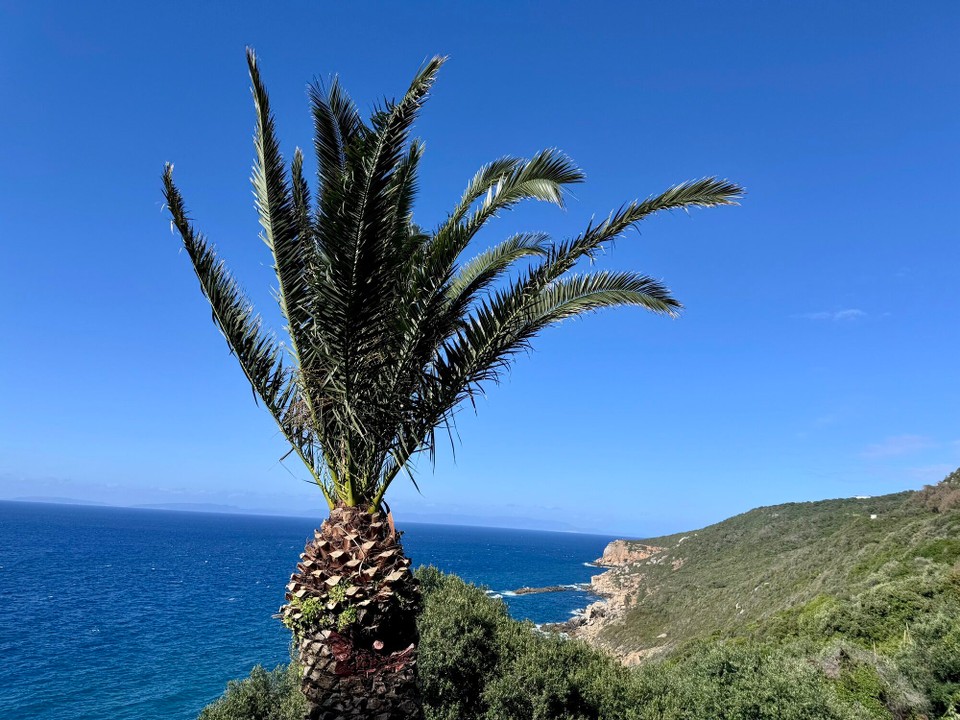 Marokko - Tangier - 