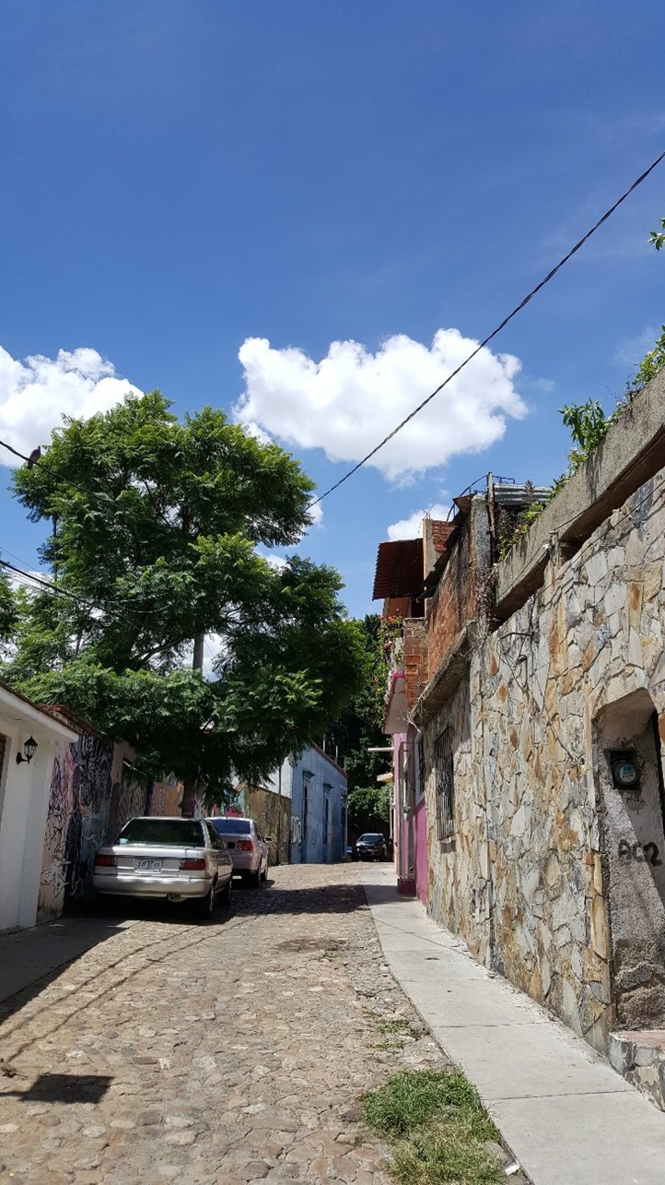 Mexiko - Oaxaca - 