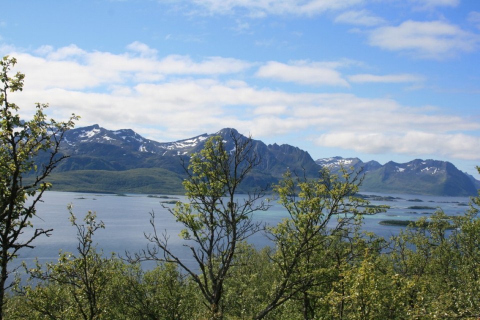 Norway - Husfjellet - 