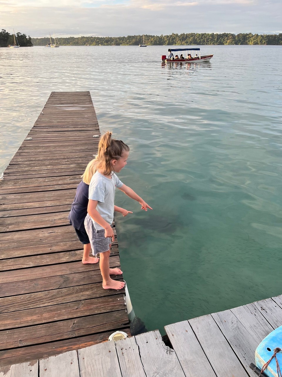 Panama -  - Guten Morgen Unterwasserwelt!