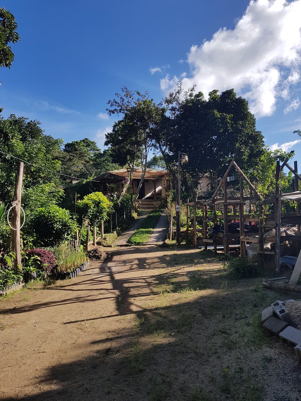Nicaragua - Dipilto - La finca 'El Arbol'