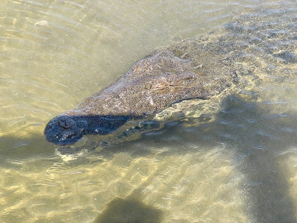 Mexiko - Cozumel - 