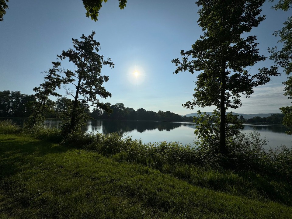 Deutschland - Friesenheim - 