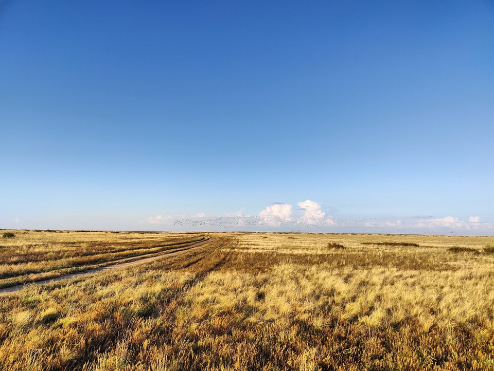 Kasachstan - Abylay - Der Treffpunkt für die Rückreise