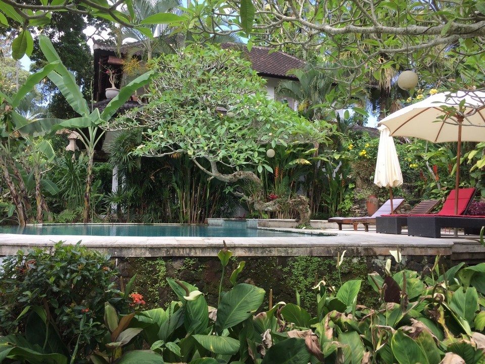  - Indonesien, Gianyar, 80571 - Unser Pool