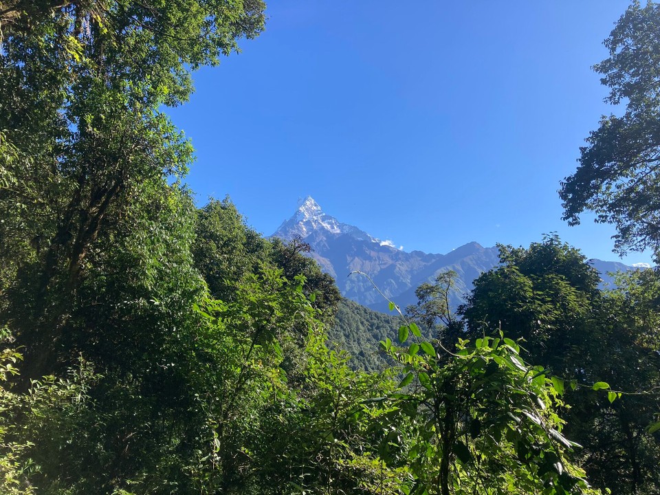 Nepal -  - Machapuchare (6993m)