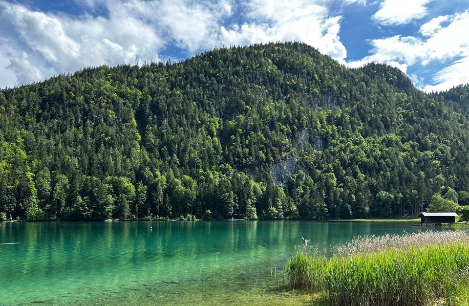 Österreich - Scheffau am Wilden Kaiser - Zum Abschluss waren wir auch noch eine Runde im klaren, 16 Grad frischen Wasser schwimmen. 