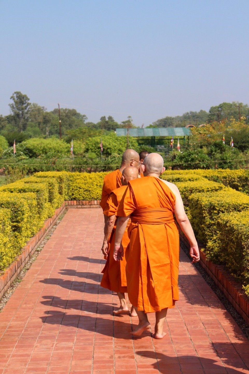 Nepal -  - Lumbini: Buddhas Birthplace 