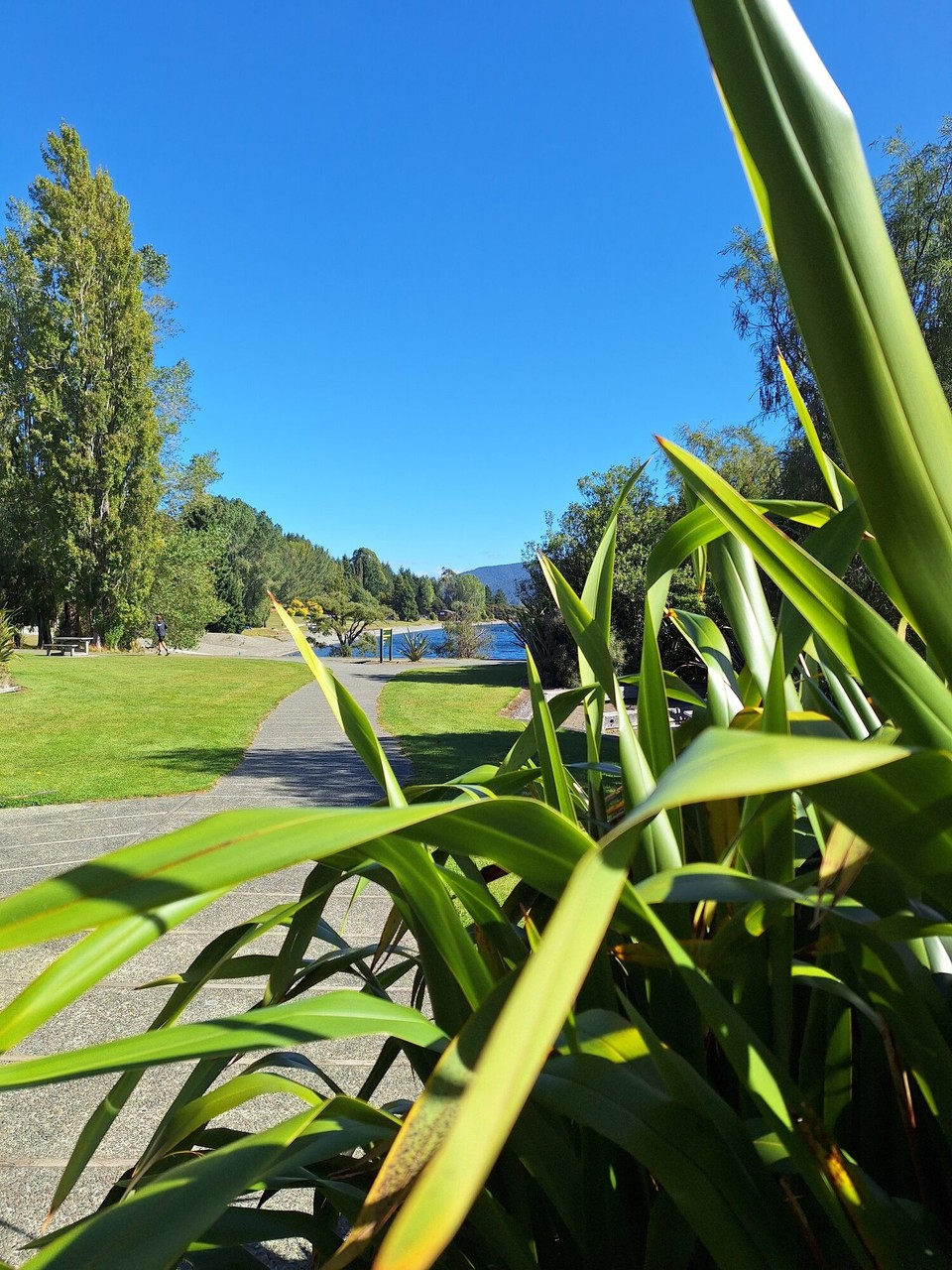 Neuseeland - Te Anau - Te Anau