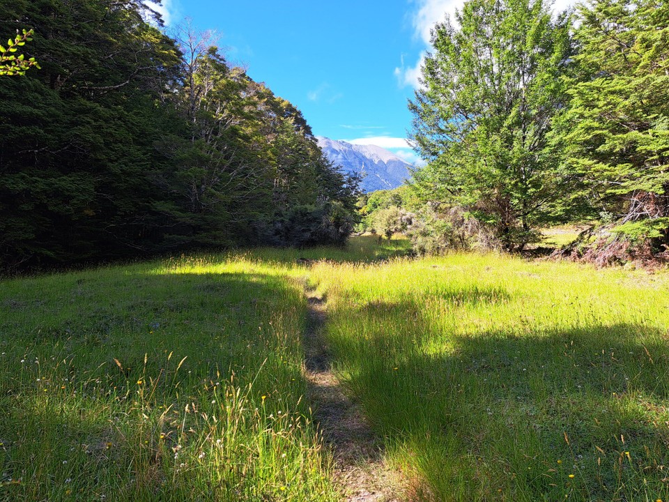 Neuseeland - Nelson Lakes National Park - 