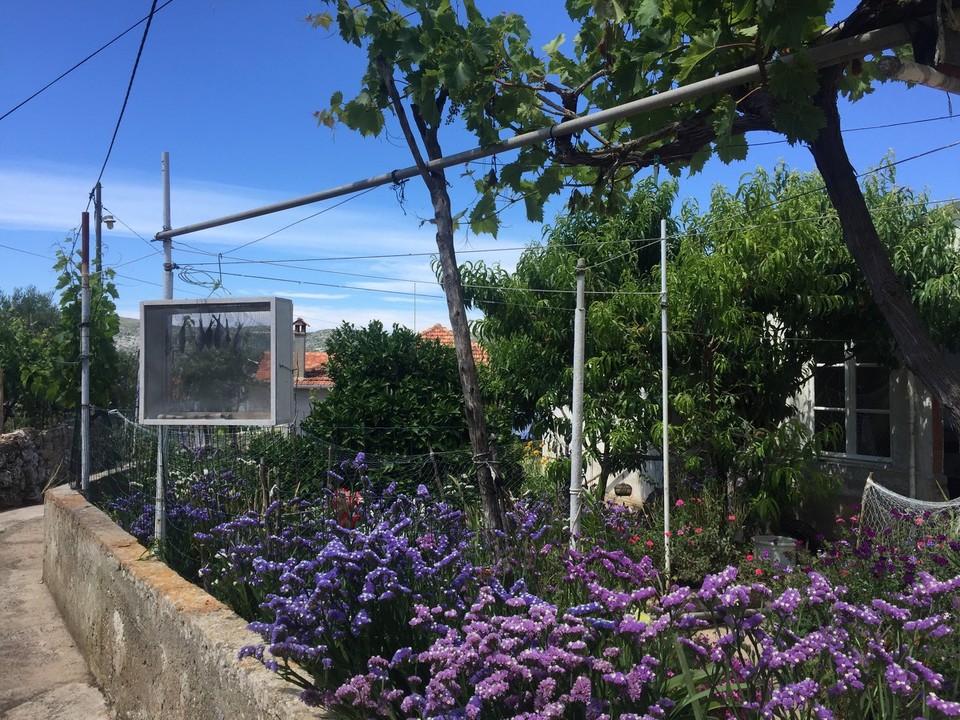 Kroatien - Mala Rava - Vorgarten