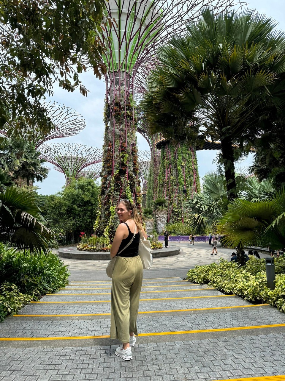 Singapur - Singapur - 