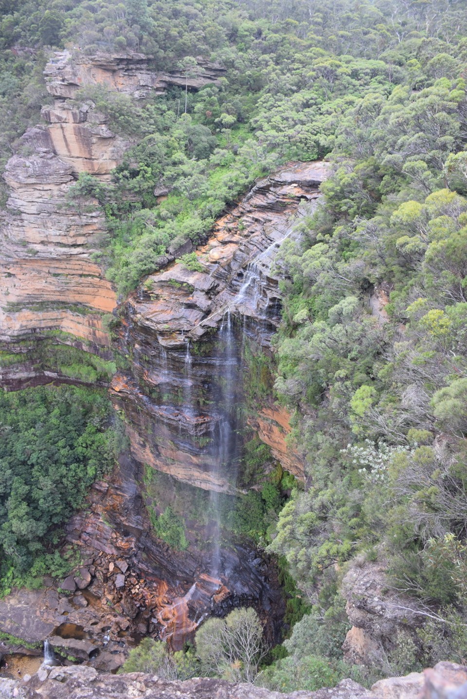 Australien - Wentworth Falls - 