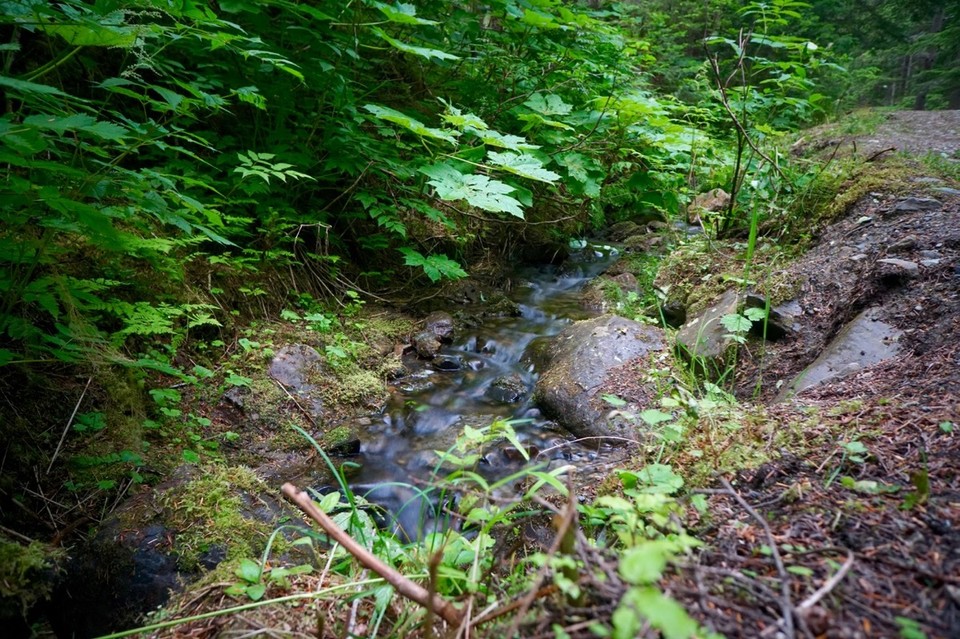 Kanada - Valemount - 