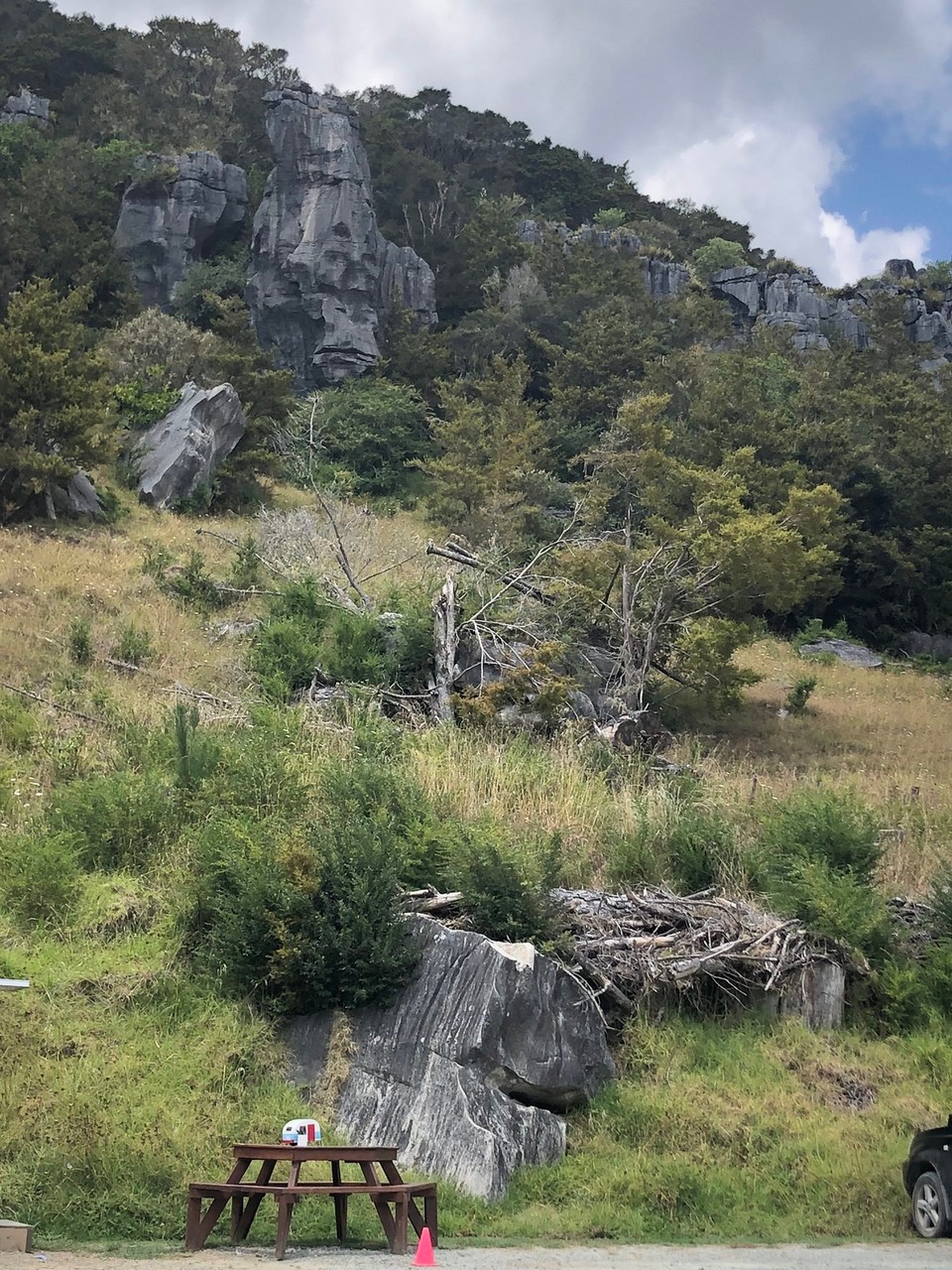 Neuseeland - Whangarei - Felsformationen bei den Kawiti Glow Worm Caves. 