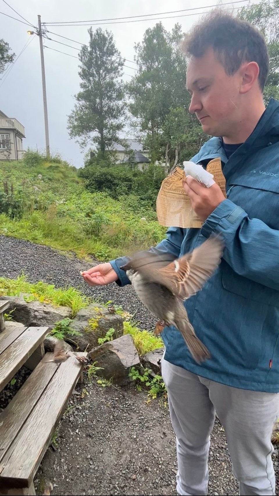 Norwegen - Ramberg - Jan der Vogelflüsterer… teilte das Essen mit seinen neuen Freunden 