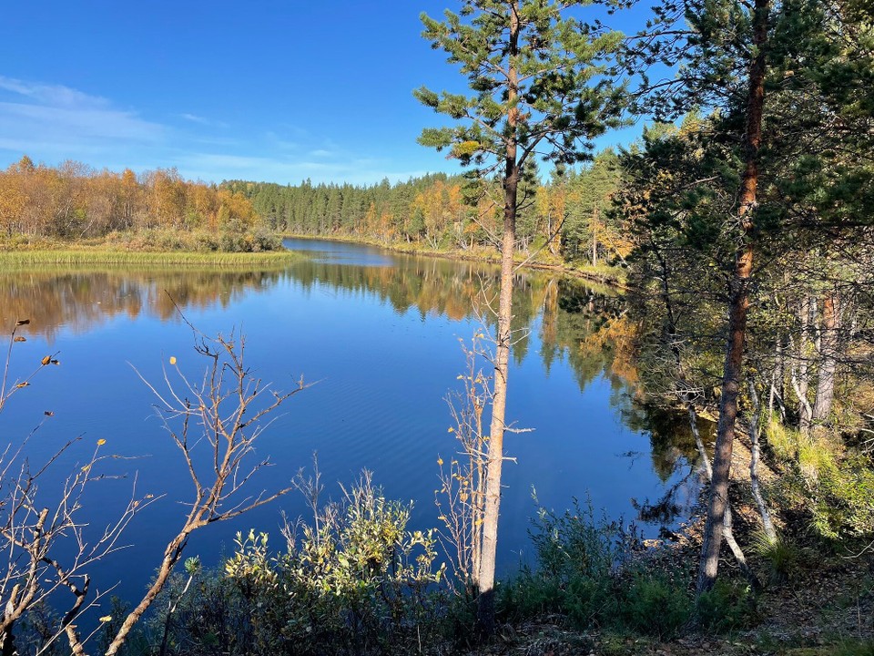 Norwegen - Karasjok - Heute wieder tolles Herbstwetter