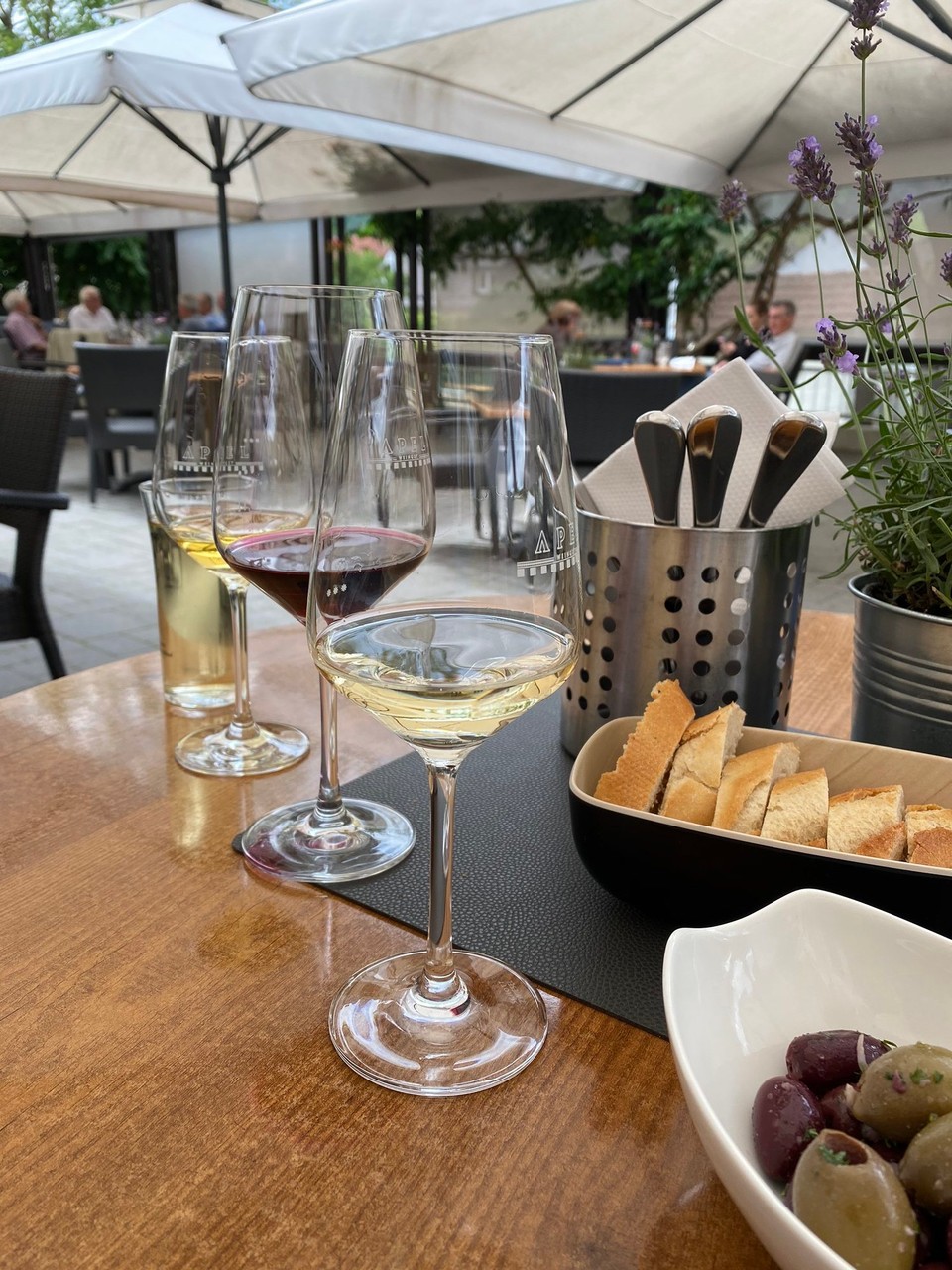 Deutschland - Nittel - Weinprobe beim Weingut Apel