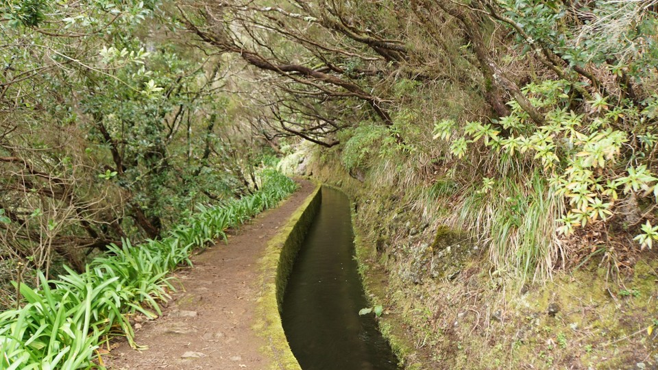Portugal - Ribeira Brava - Levada da Norte