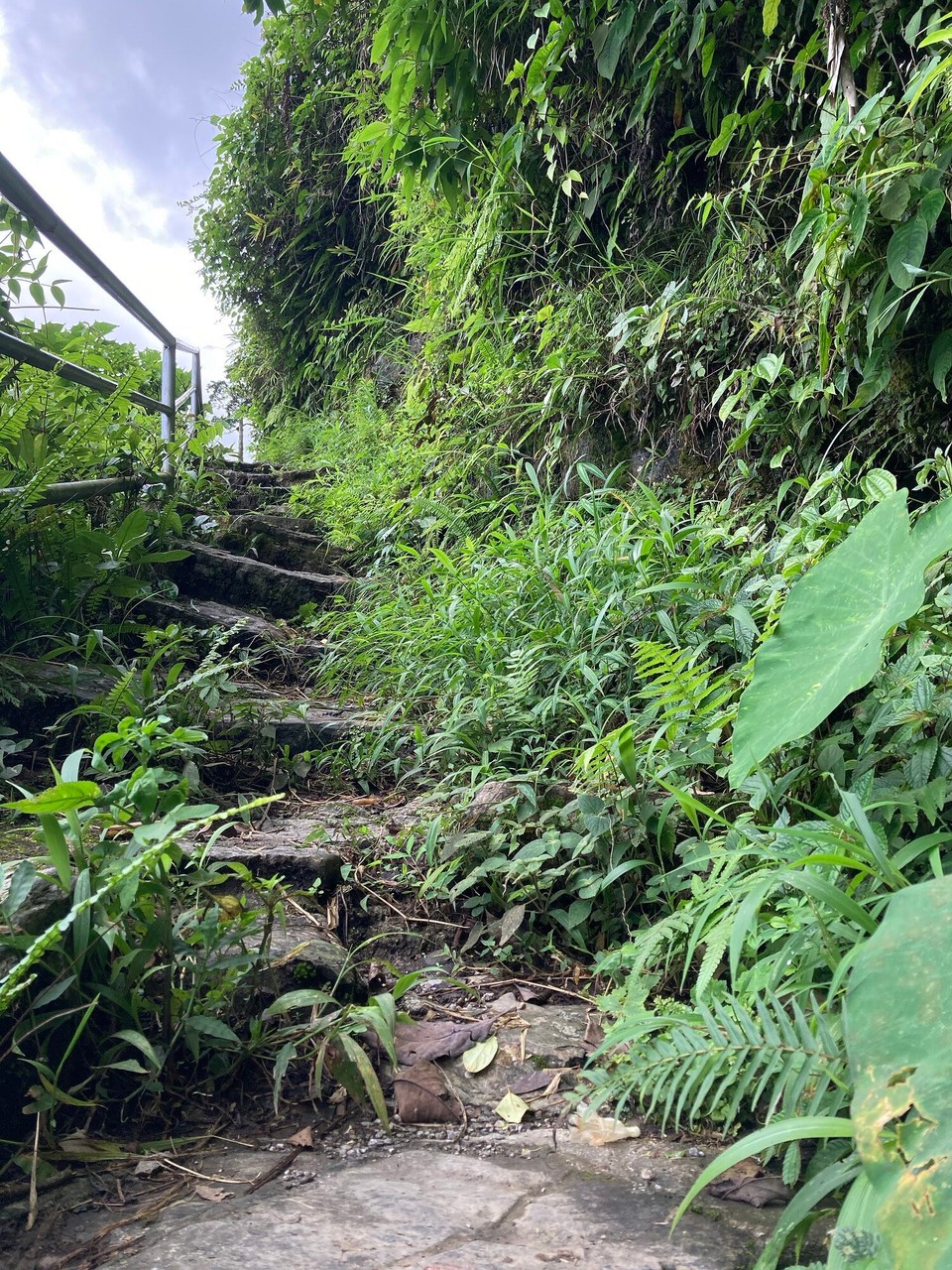 Vietnam - Meo Vac - 