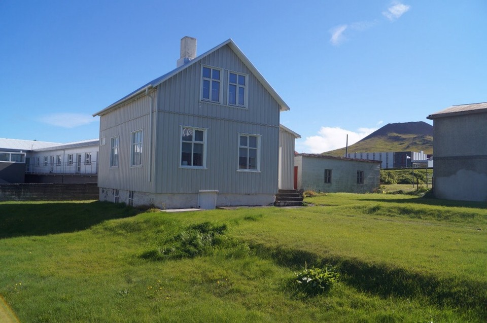 Island - Vestmannaeyjar - Der Rasen hier ist ein Traum für jeden klein Gärtner.