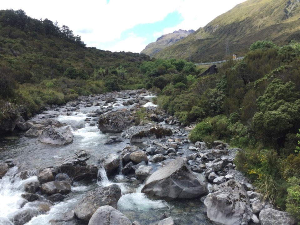 Neuseeland - Arthur’s Pass - 
