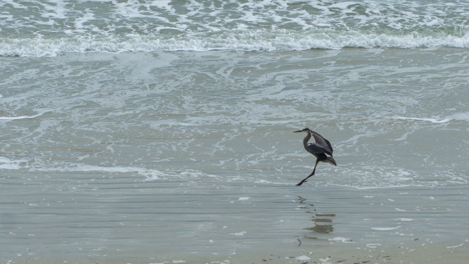 USA - Daytona Beach - 