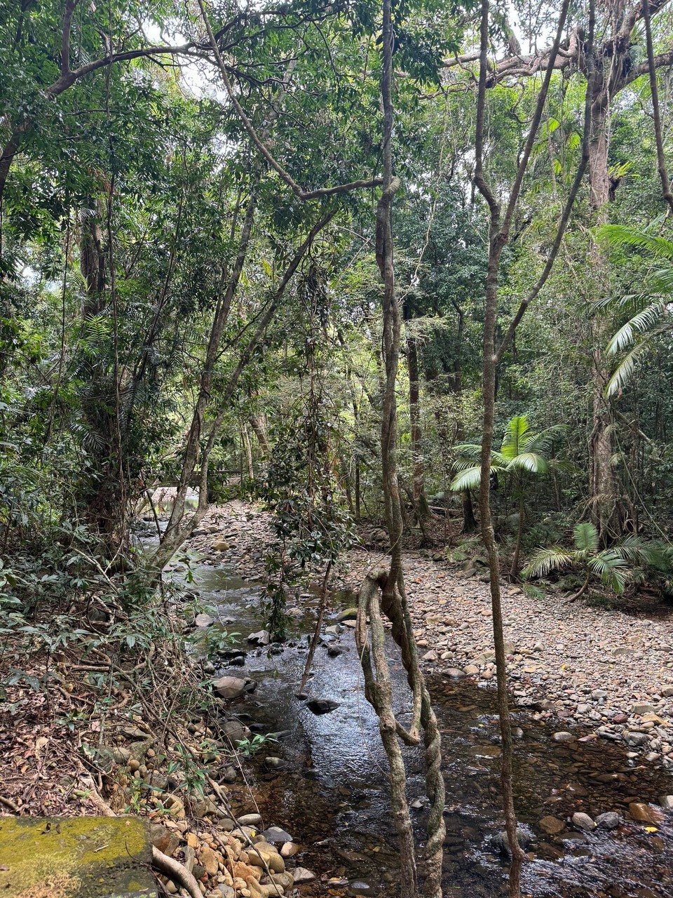 Australien - Fishery Falls - 
