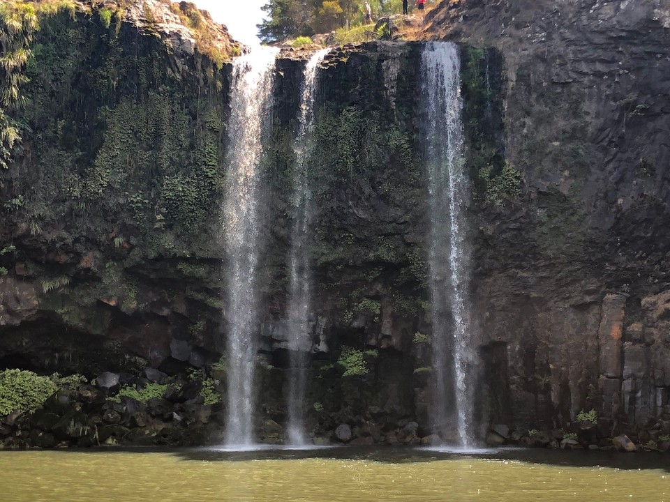 Neuseeland - Whangarei - Whangarei Falls mit wenig Wasser aufgrund der Trockenheit 