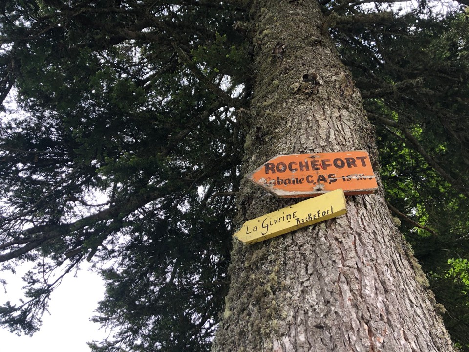 Schweiz - Arzier-Le Muids - 
