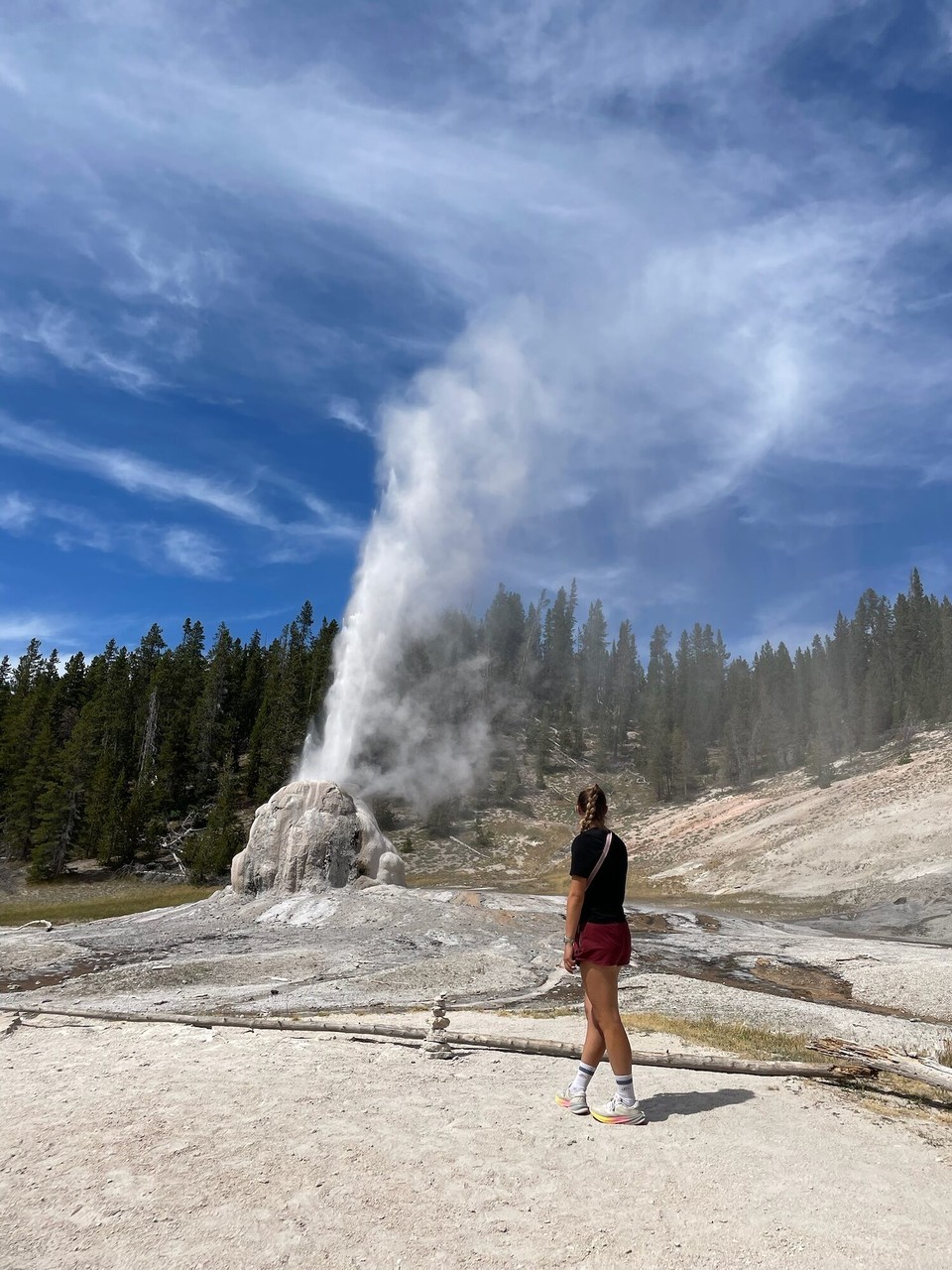 Vereinigte Staaten - Yellowstone National Park - 