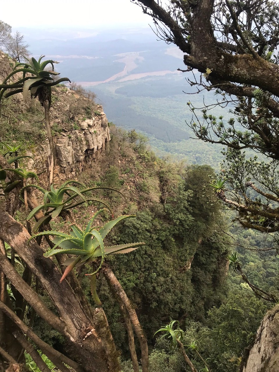 Südafrika -  - 