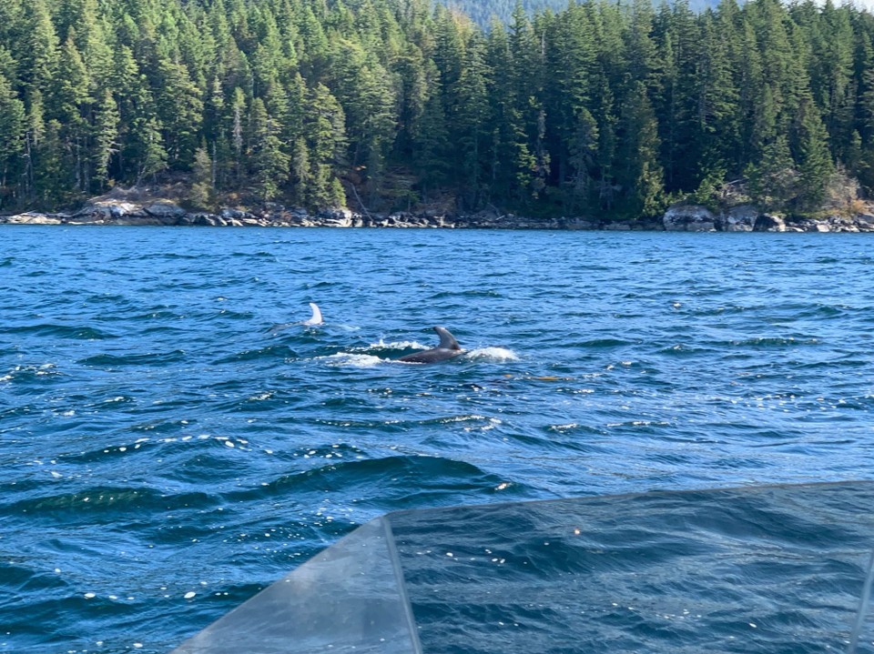 Kanada - Campbell River 11 - 