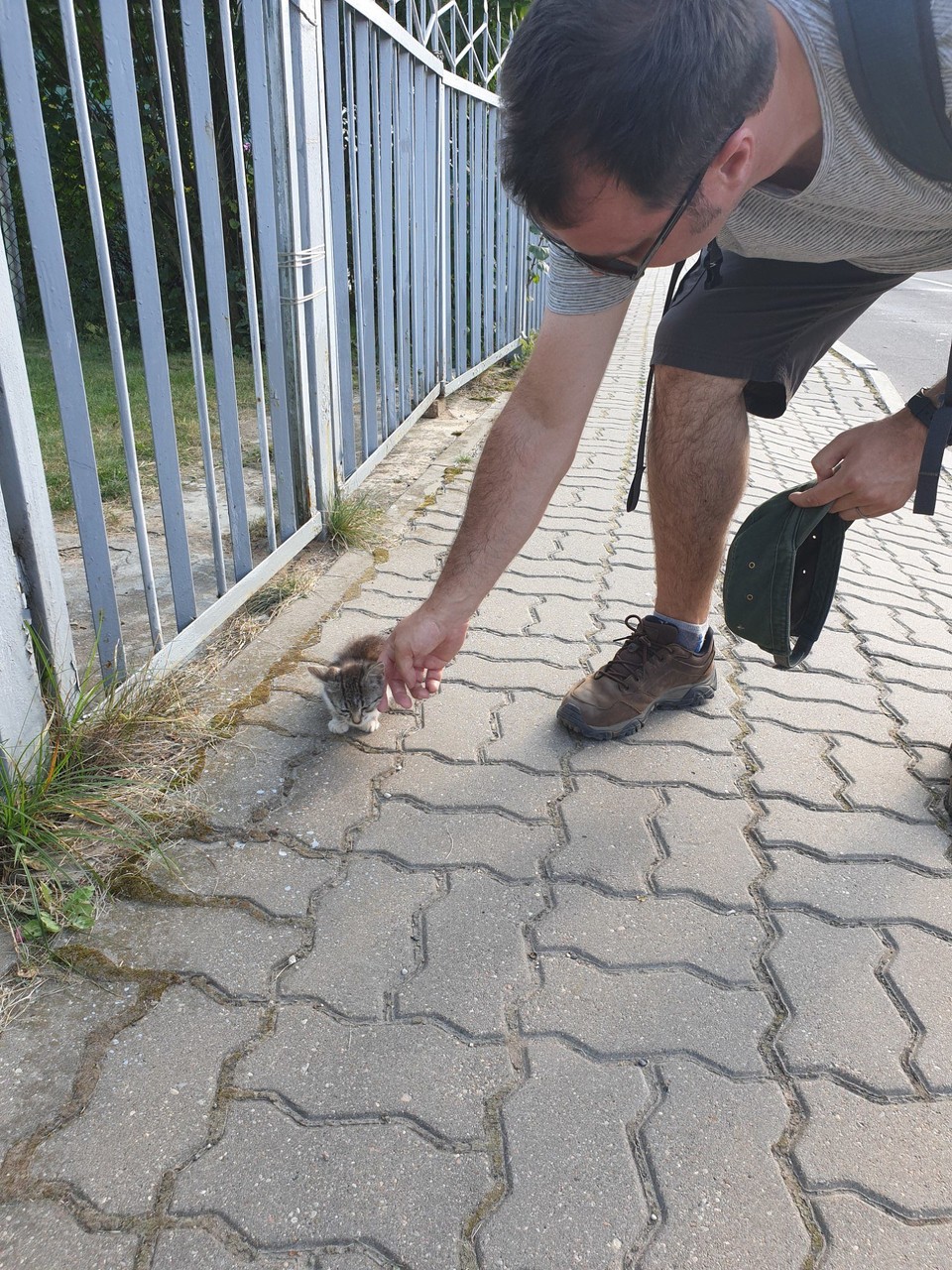 Belarus - Niasviž - A tiny kitten we met, didn't stop it fronting up and puffing up to an adult cat (that didn't seem bothered)