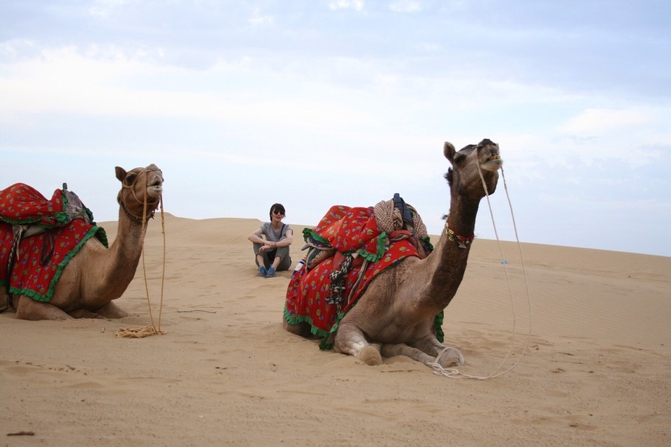 Thar Desert -  - 