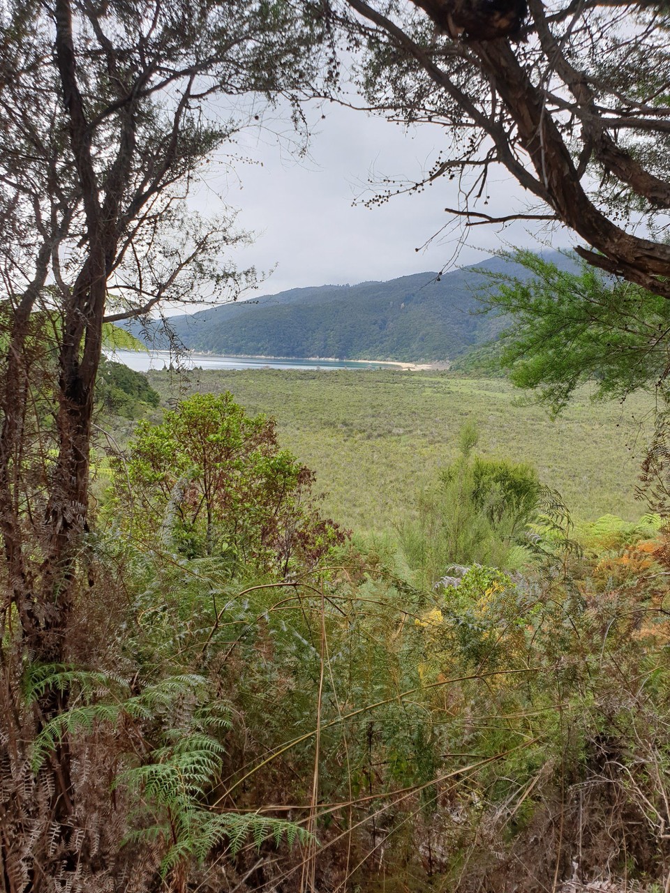 Neuseeland - Mapua - 