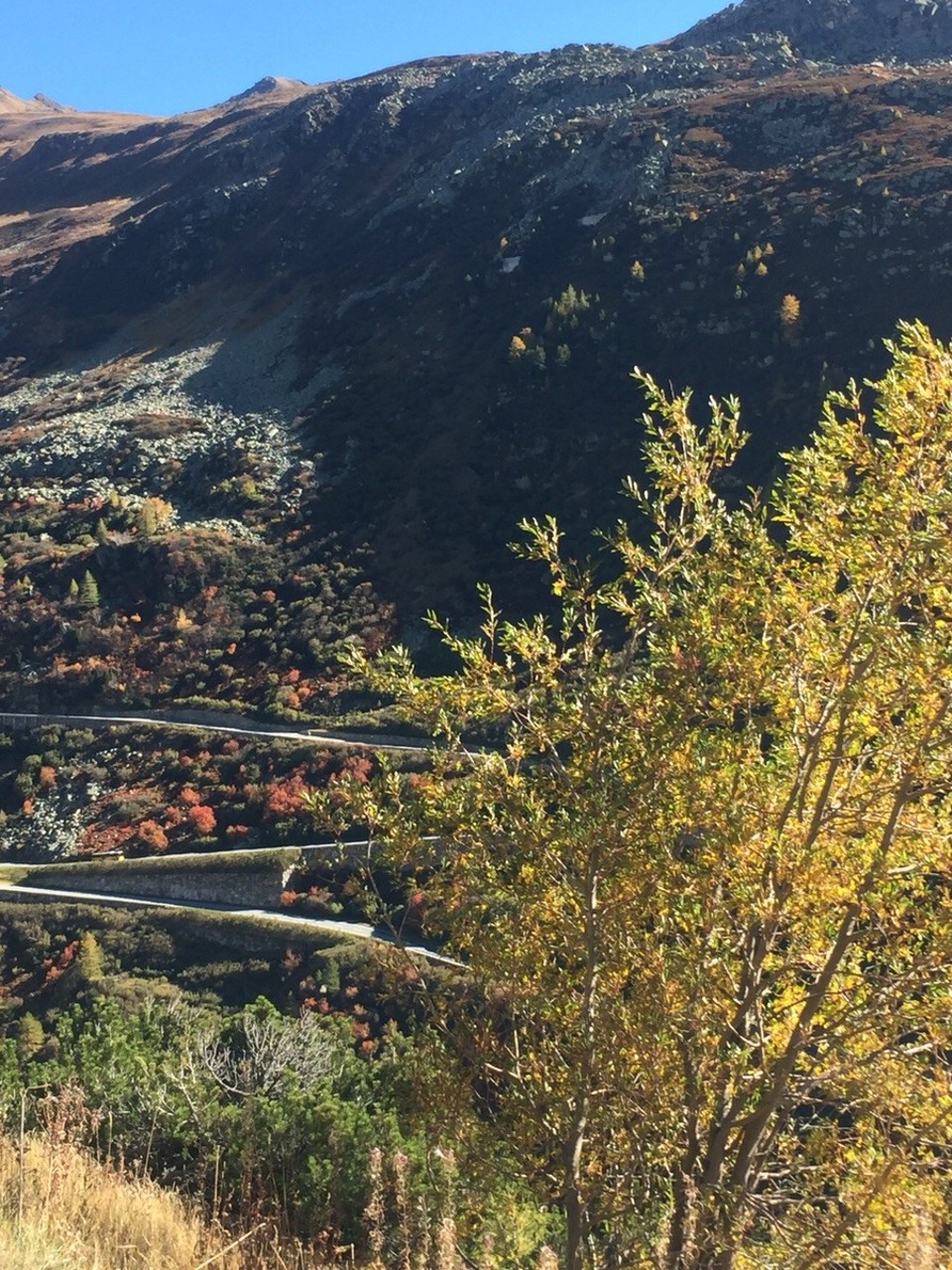 Schweiz - Grindelwald - Herbststimmung