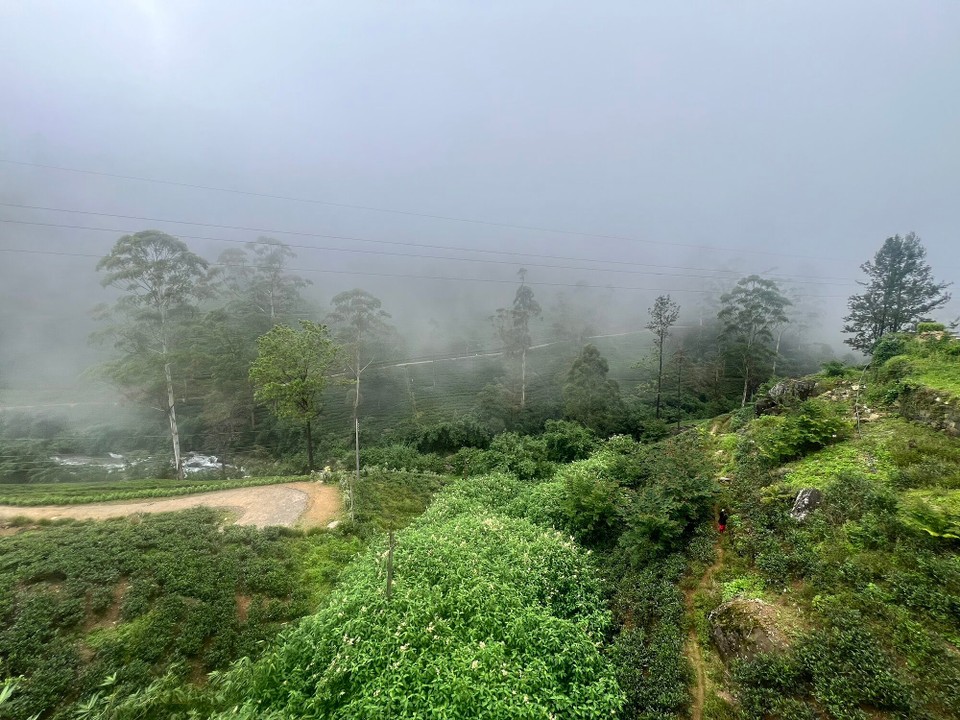 Sri Lanka -  - 