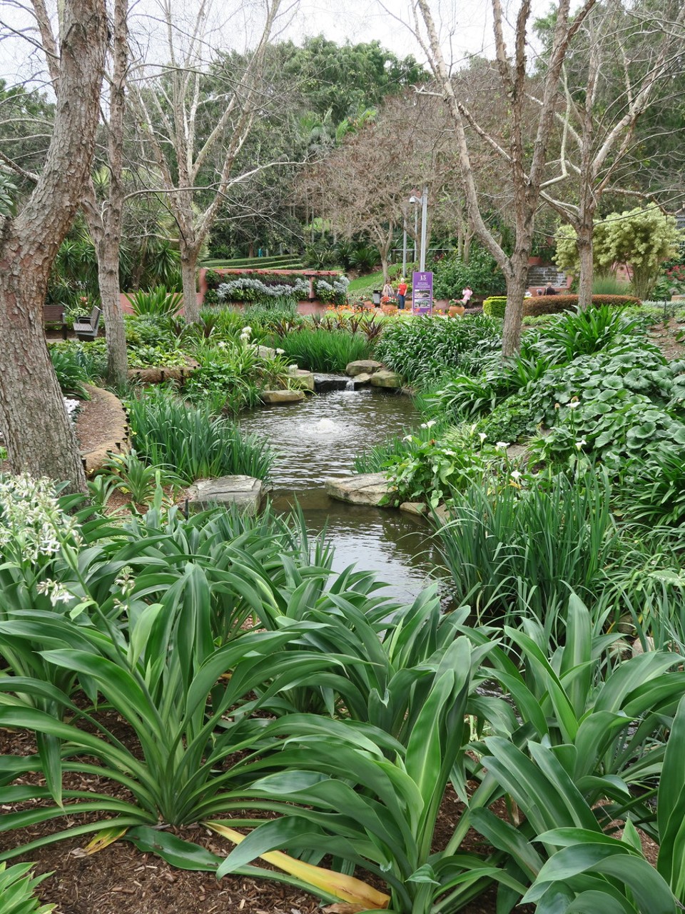 Australia - Brisbane City - Roma street park : un jardin botanique moderne