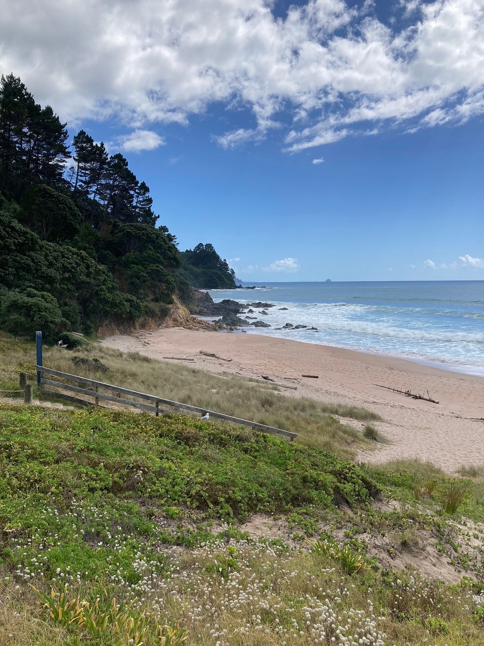 Neuseeland - Tairua - Kurzer Stopp am Tairua Strand