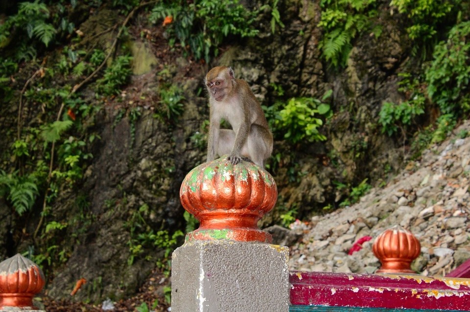 Malaysia - Gombak - 