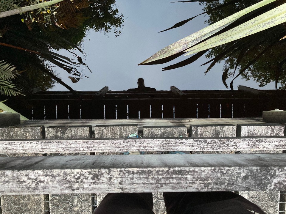 Neuseeland - Harihari - 