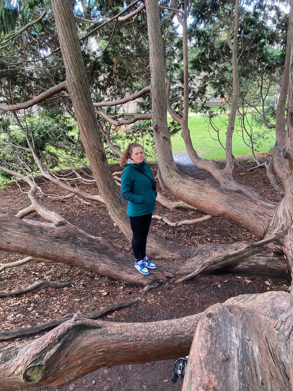 Neuseeland - Christchurch - „Mama“ schaut von unten zu 🤪😂