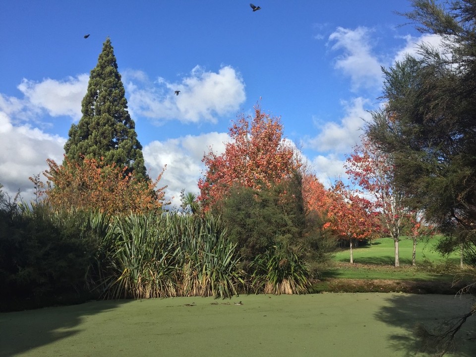 Neuseeland - Rotorua - 