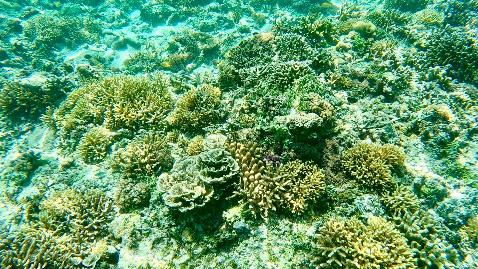Indonesien - Kabupaten Lombok Utara - 