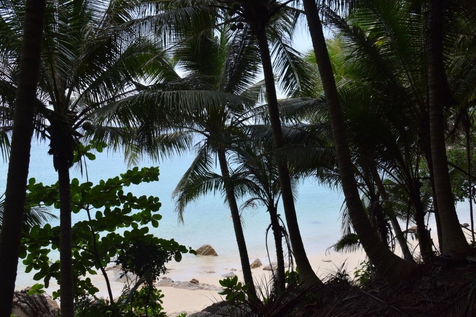 Thailand - Amphoe Thalang - Durch den Dschungel zum “Banana Beach”