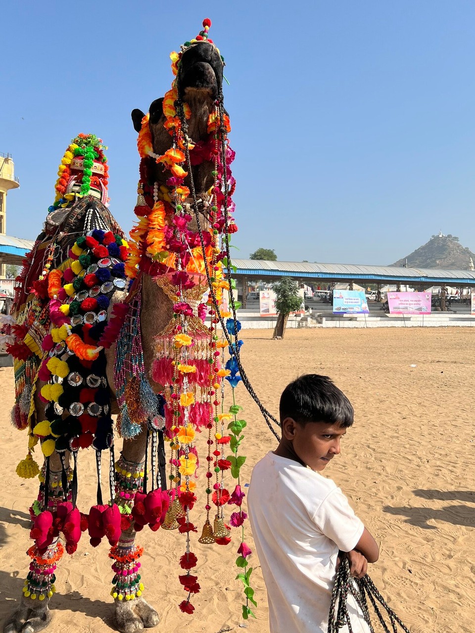 Indien - Pushkar - 